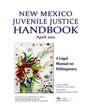 Juvenile Justice Handbook